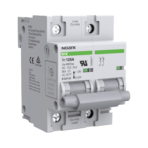 Noark B1E2P100 Miniature Circuit Breaker (5kA) (New)